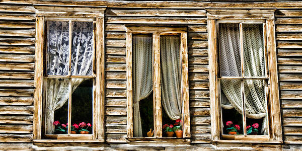 Colorado Poster featuring the photograph Windows of Lace of Annabelle's Place by Lana Trussell