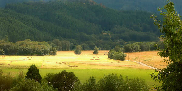 Hay Bales Poster featuring the photograph Sunshine In The Valley by KATIE Vigil