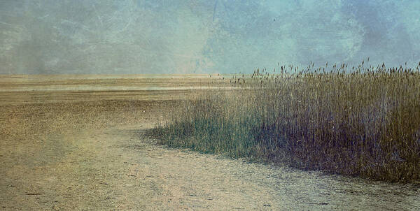 Beach Poster featuring the photograph Textured Beach by Roni Chastain