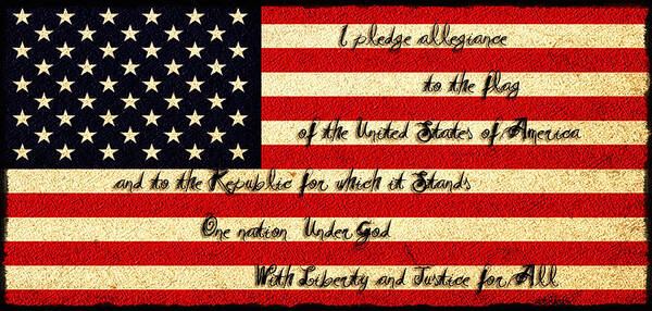 The Pledge Of Allegiance Poster featuring the photograph The Pledge of Allegiance by Bill Cannon