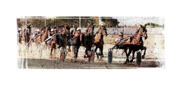 Horse Poster featuring the photograph Trotting 3 by Pedro Cardona Llambias