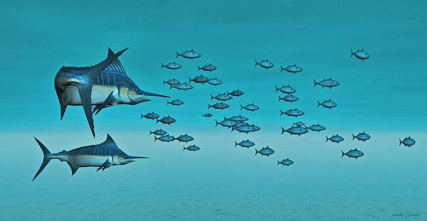 Two Blue Marlin Poster featuring the digital art Two Blue Marlin by Walter Colvin