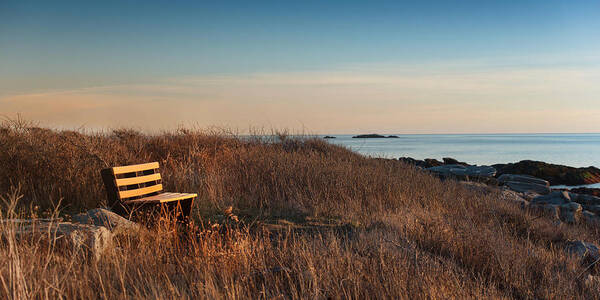 Sunset Poster featuring the photograph Available Seating by Robin-Lee Vieira