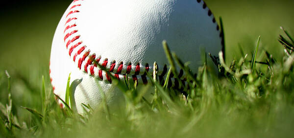 Baseball In Grass Poster featuring the photograph Baseball in Grass by Chris Brannen