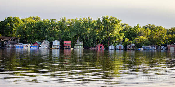 Boathouses Poster featuring the photograph Boathouse Community Latsch Island Winona by Kari Yearous