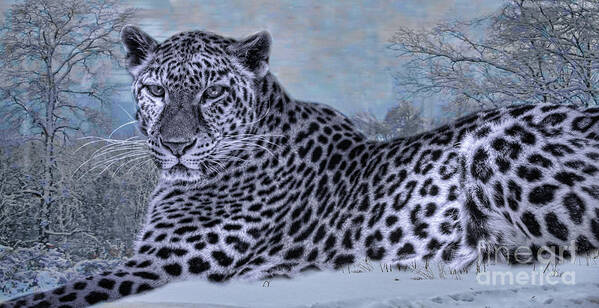Leopard In Snow Poster featuring the digital art Born To Be Free by Mary Lou Chmura