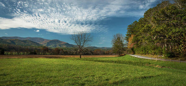 Cades Cove Poster featuring the photograph Cades Cove Tennessee by Lena Auxier