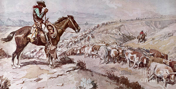 Trail Poster featuring the painting Cattle Drive by Charles Marion Russell