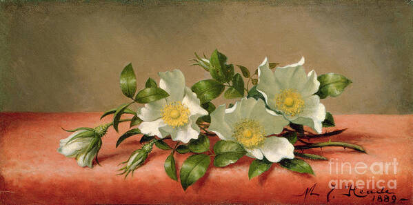 Cherokee Poster featuring the painting Cherokee Roses by Martin Johnson Heade