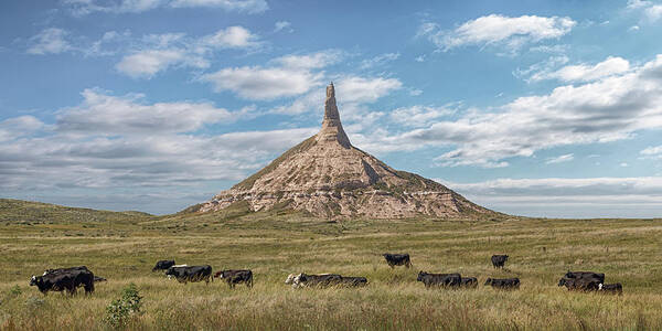 Chimney Rock Poster featuring the photograph Chimney Rock by Susan Rissi Tregoning