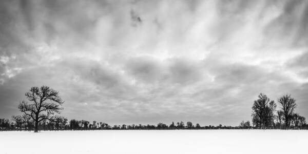 Monochrome Poster featuring the photograph Delaware Park Winter Meadow by Chris Bordeleau