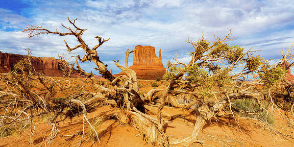 Monument Valley Poster featuring the photograph Desert Life III by Raul Rodriguez