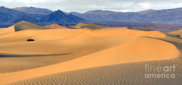 Death Valley Sand Dunes Poster featuring the photograph Desert Sand Dunes Panorama by Adam Jewell