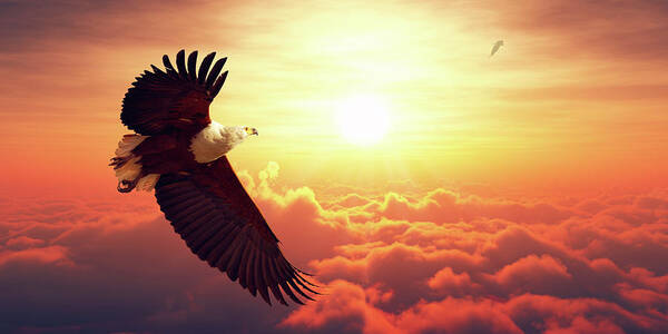 Eagle Poster featuring the photograph Fish Eagle flying above clouds by Johan Swanepoel