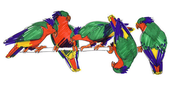 Birds Poster featuring the drawing Five Rimatara Lorikeets by Judith Kunzle