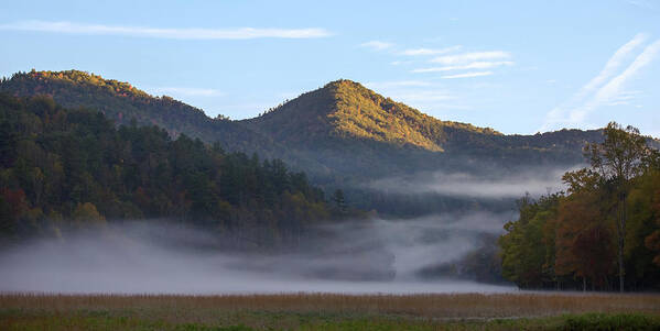 Mountains Poster featuring the photograph Ground Fog in Cataloochee Valley - October 12 2016 by D K Wall
