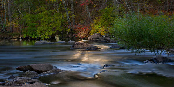 River Poster featuring the photograph Light on the River by Robin-Lee Vieira