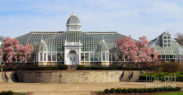 Franklin Park Conservatory Poster featuring the photograph Magnolias at Franklin Park Conservatory 3007 by Jack Schultz