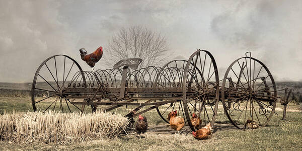Farm Poster featuring the photograph Meeting At Rusty Rake by Robin-Lee Vieira