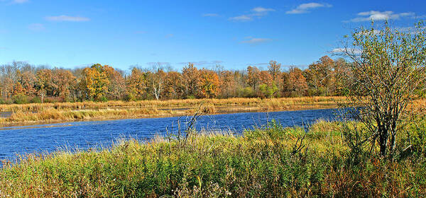 Mississippi River Poster featuring the photograph Mississippi River by Bill Morgenstern