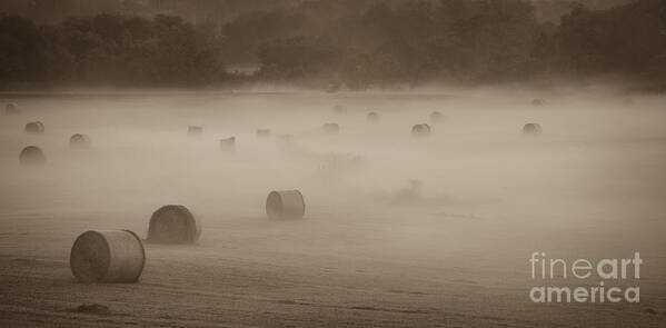 Misty Hay Bales Poster featuring the photograph Misty Hay Bales by Tamara Becker