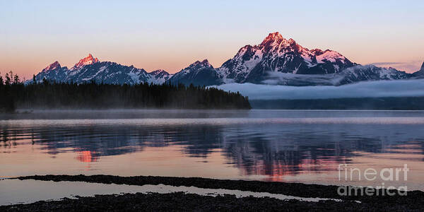 Water Poster featuring the photograph Mount Moran by Brandon Bonafede