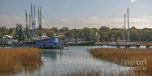 Shem Creek Poster featuring the photograph Mount Pleasant Sea Treasure by Dale Powell