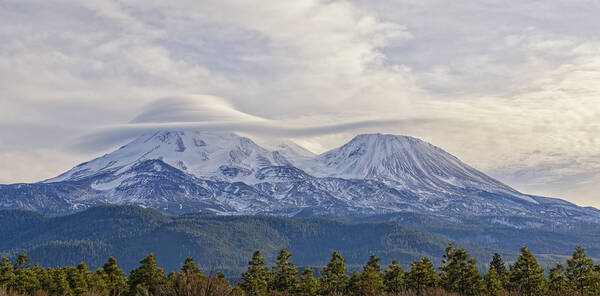 Loree Johnson Poster featuring the photograph Mount Shasta Capped by Loree Johnson