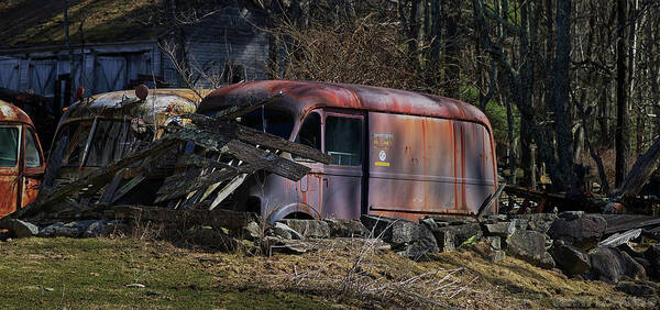 Ih Metro Van Poster featuring the photograph Nesting by Jerry LoFaro