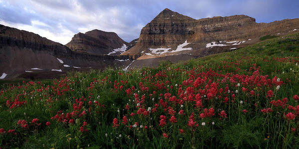 Timpanogos Poster featuring the photograph Painted Timpanogos by Ryan Smith