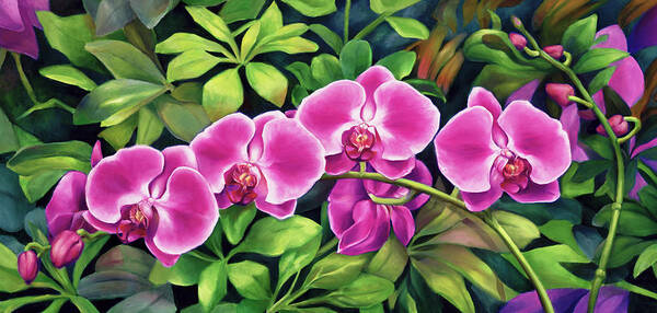  Poster featuring the painting Pink Jungle Orchids by Nancy Tilles
