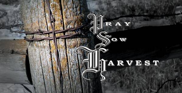 Pray Sow Harvest Poster featuring the photograph Pray Sow Harvest by Troy Stapek