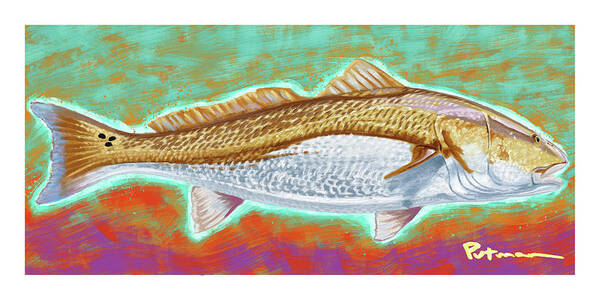 Red Drum Poster featuring the digital art Red Drum by Kevin Putman