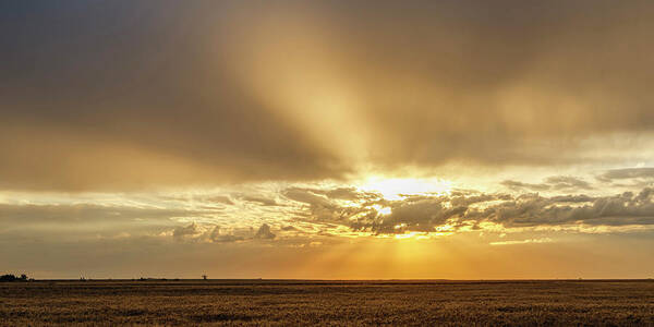 Kansas Poster featuring the photograph Sunrise and Wheat 04 by Rob Graham