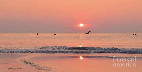 Beach Photographs Poster featuring the photograph Sunrise with pelicans by Julianne Felton
