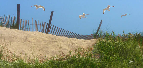 Nature Poster featuring the photograph The Beach at Hunting Island by Phil Jensen