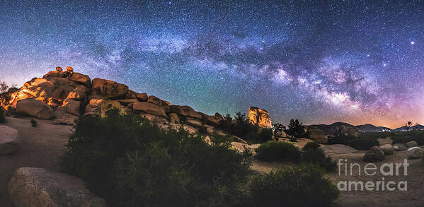 Joshua Tree Poster featuring the photograph The Mystic Valley by Robert Loe