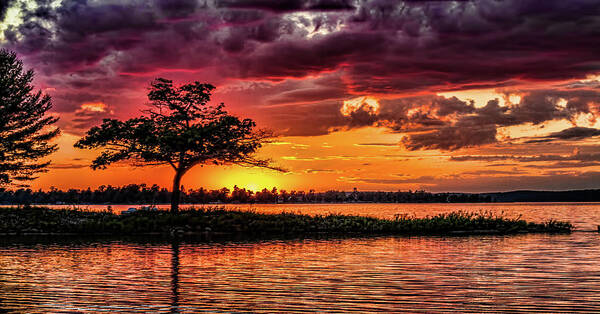 Sunset Poster featuring the photograph The tree by Joe Holley