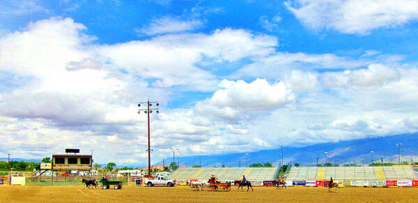 Sky Poster featuring the photograph Welcome To Mule Days by Marilyn Diaz