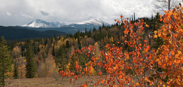 White River National Forest Poster featuring the photograph White River National Forest Autumn Panorama by Cascade Colors