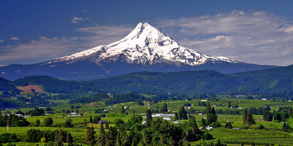 Oregon Poster featuring the photograph Wine Country by Scott Mahon