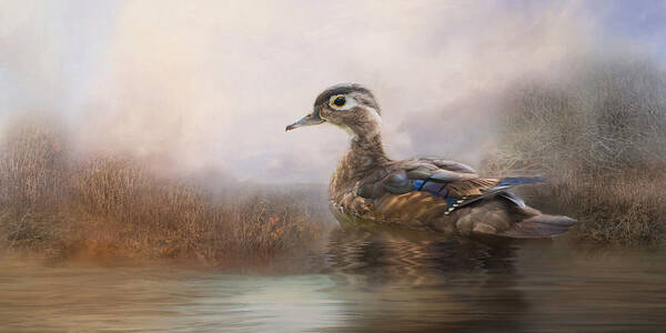 Ducks Poster featuring the photograph Wood Duck by Robin-Lee Vieira