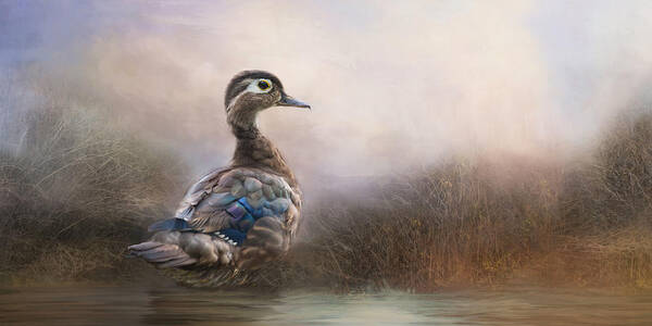 Duck Poster featuring the photograph Wood Duck Too by Robin-Lee Vieira