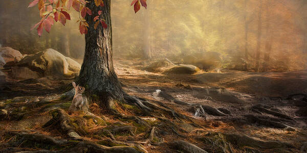 Woodland Poster featuring the photograph Woodland Mist by Robin-Lee Vieira