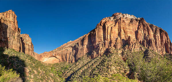 Zion National Park Poster featuring the photograph Zion National Park Panorama by James BO Insogna