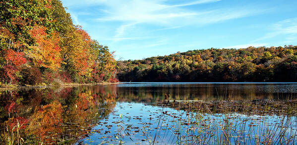 Tranquility Poster featuring the photograph Fall Foliage At Norwich Pond, Nehantic #1 by Jake Wyman