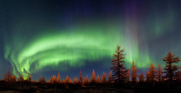 Sky Poster featuring the photograph Northern Lights #1 by Andrey Snegirev