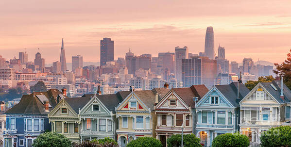 San Francisco Poster featuring the photograph Alamo Square And Painted Ladies #3 by Spondylolithesis