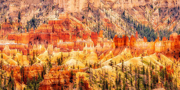 Landscape Poster featuring the photograph Bryce Canyon by Dieter Walther