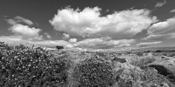 Dartmoor National Park Poster featuring the photograph Dartmoor Panoramic in Black and White by Gill Billington